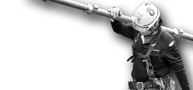 sp_business_bnr